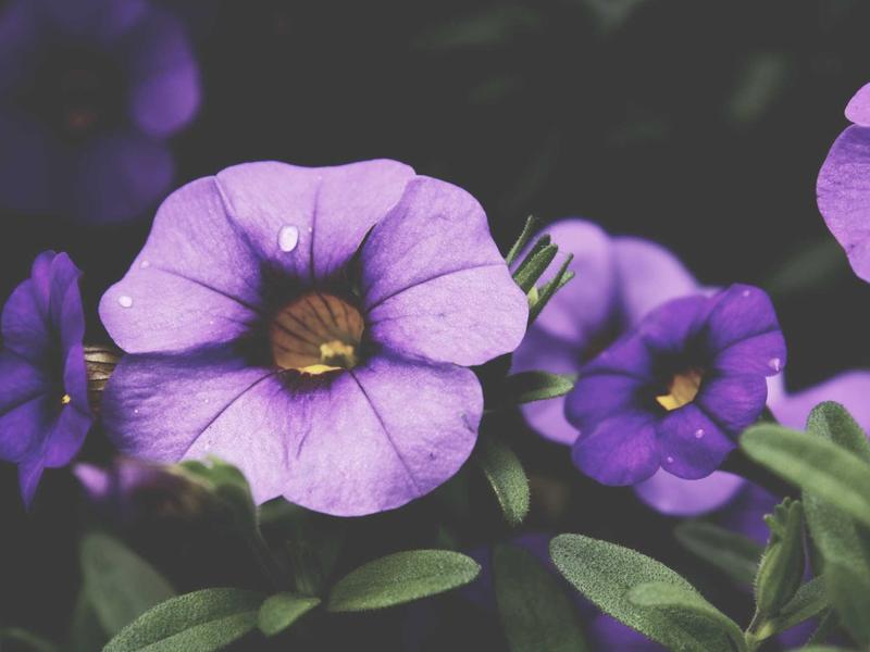 sudoku extra challenge screenshot 1