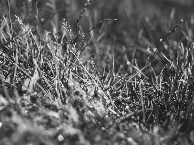 sudoku puzzle bundle screenshot 3